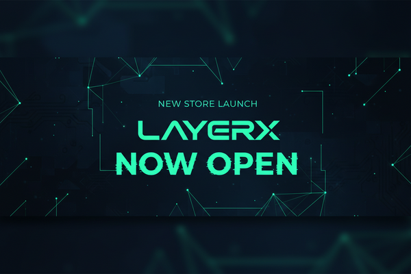 LayerX Launches India's Premier 3D Printing Hub